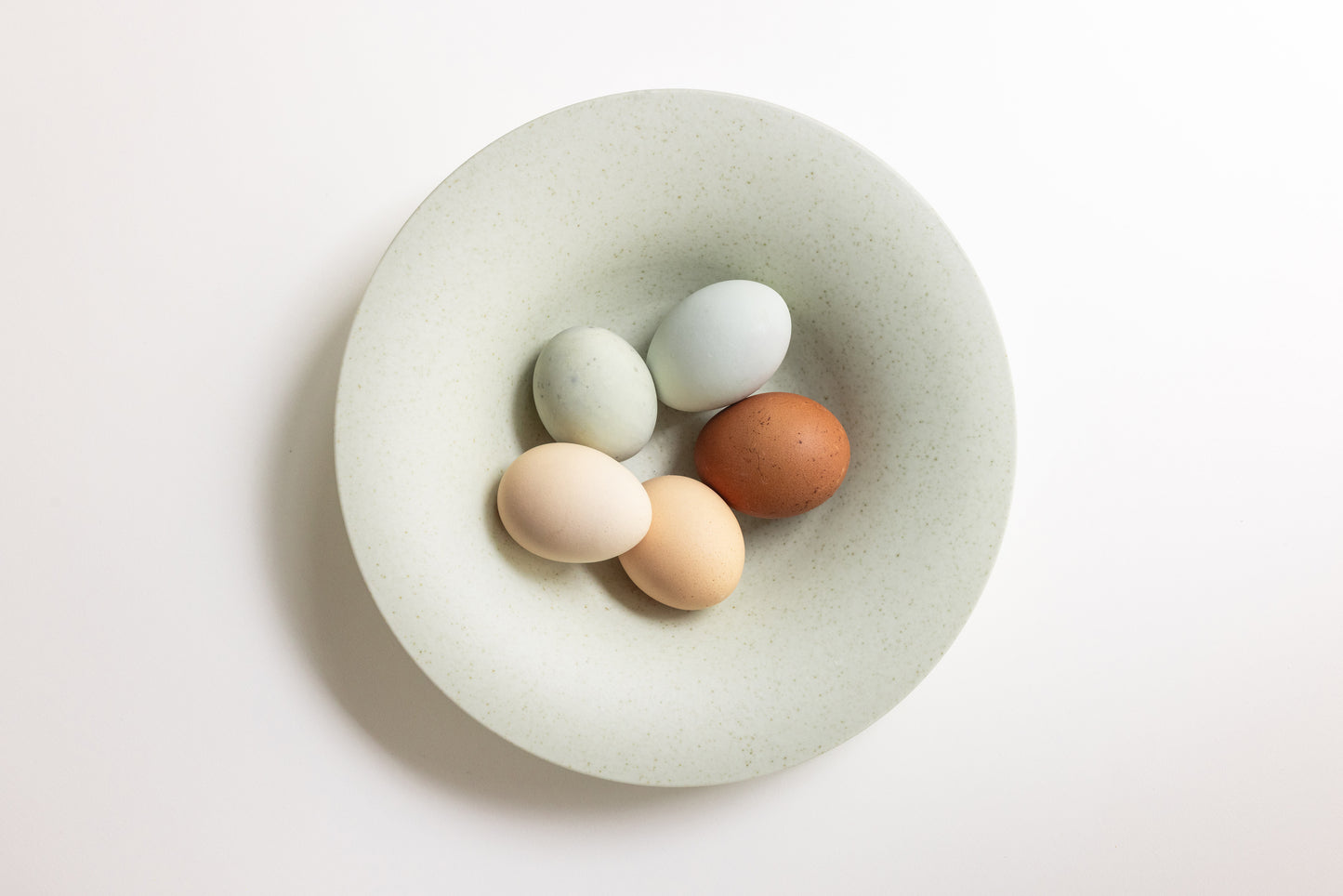 Five eggs in various colors on a textured ceramic plate against a light background