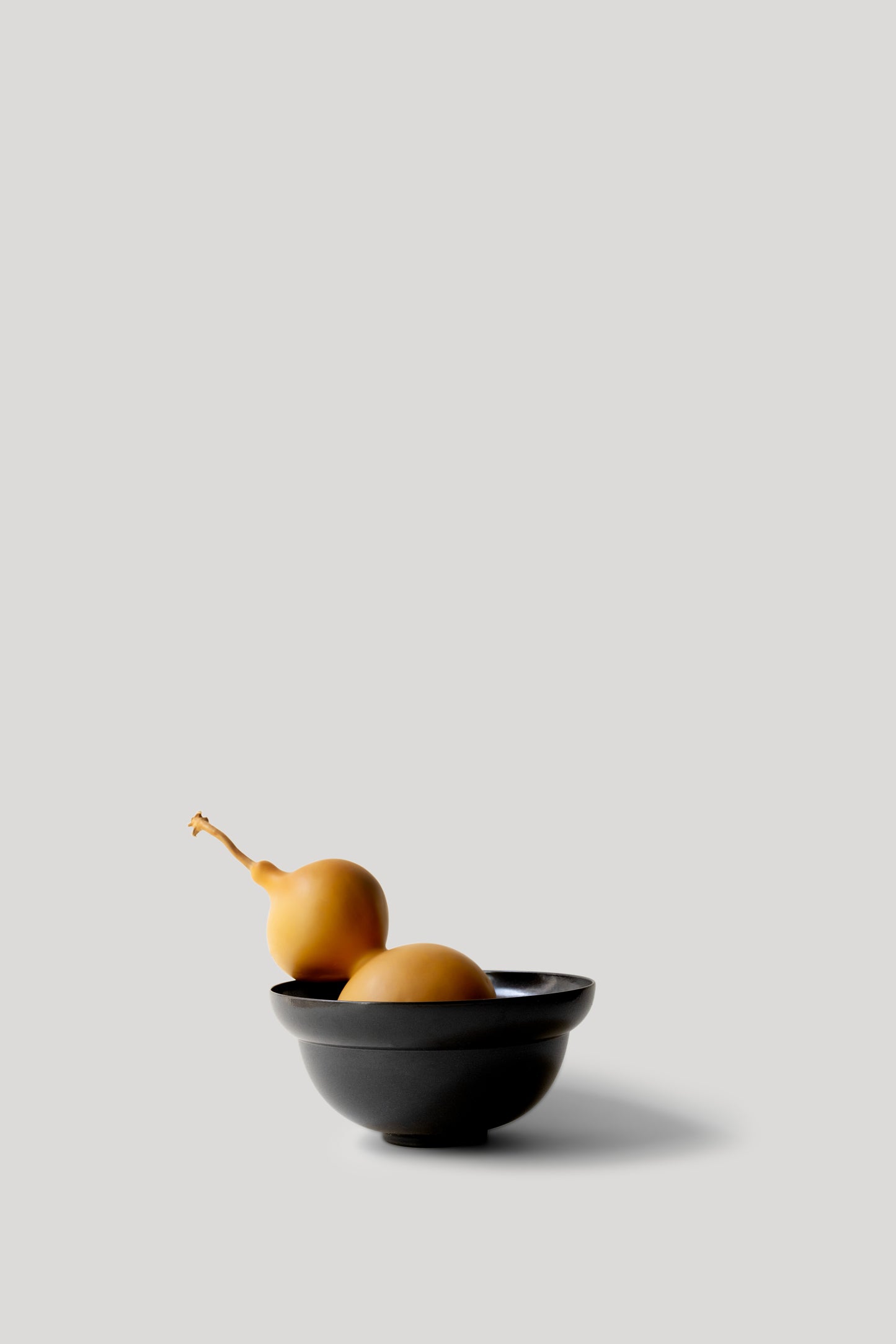 Two pears in a black bowl on a light gray background