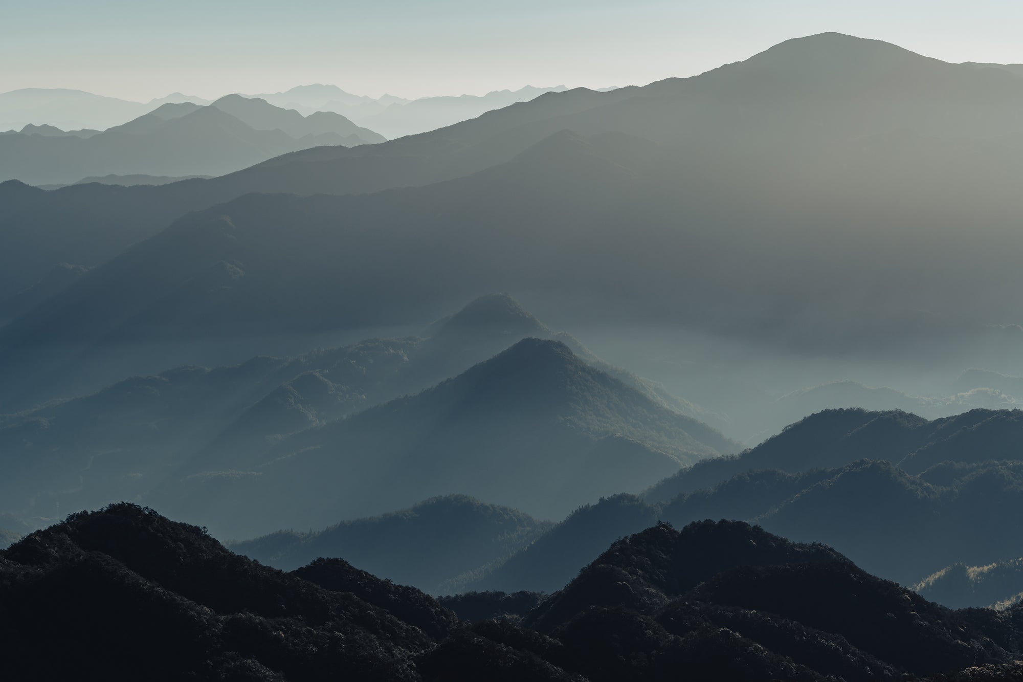 Full width banner